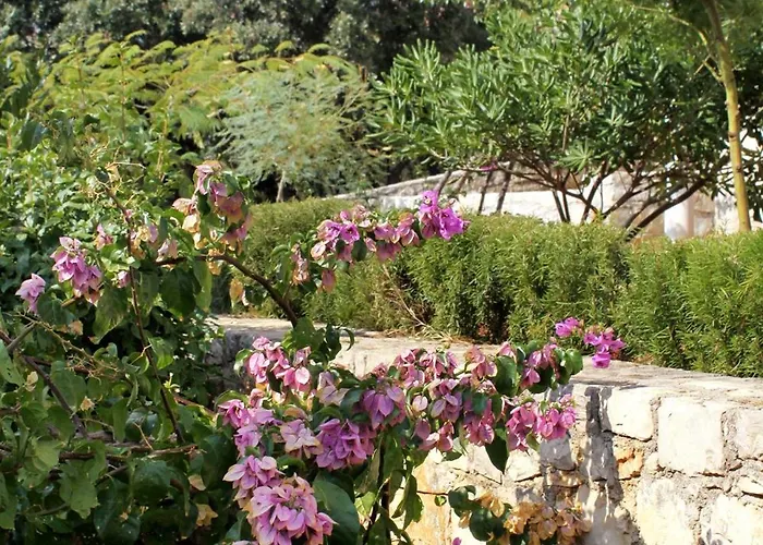 By The Sea Zavalatica, Korcula - 9280 * زافالاتيكا