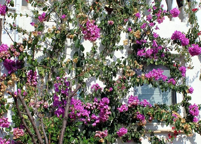 By The Sea Zavalatica, Korcula - 9280 * زافالاتيكا