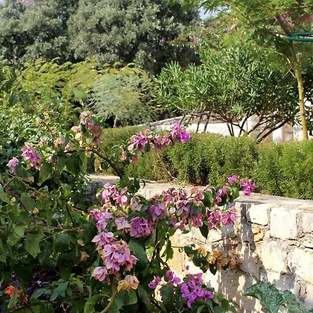 By The Sea Zavalatica, Korcula - 9280 * Zavalatica