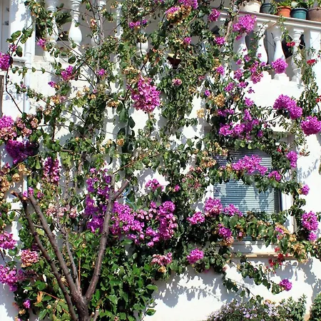 By The Sea Zavalatica, Korcula - 9280 * Zavalatica